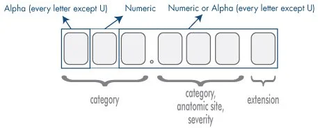 ICD-10-CM code format