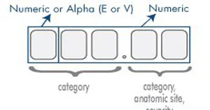 ICD-9-CM code format